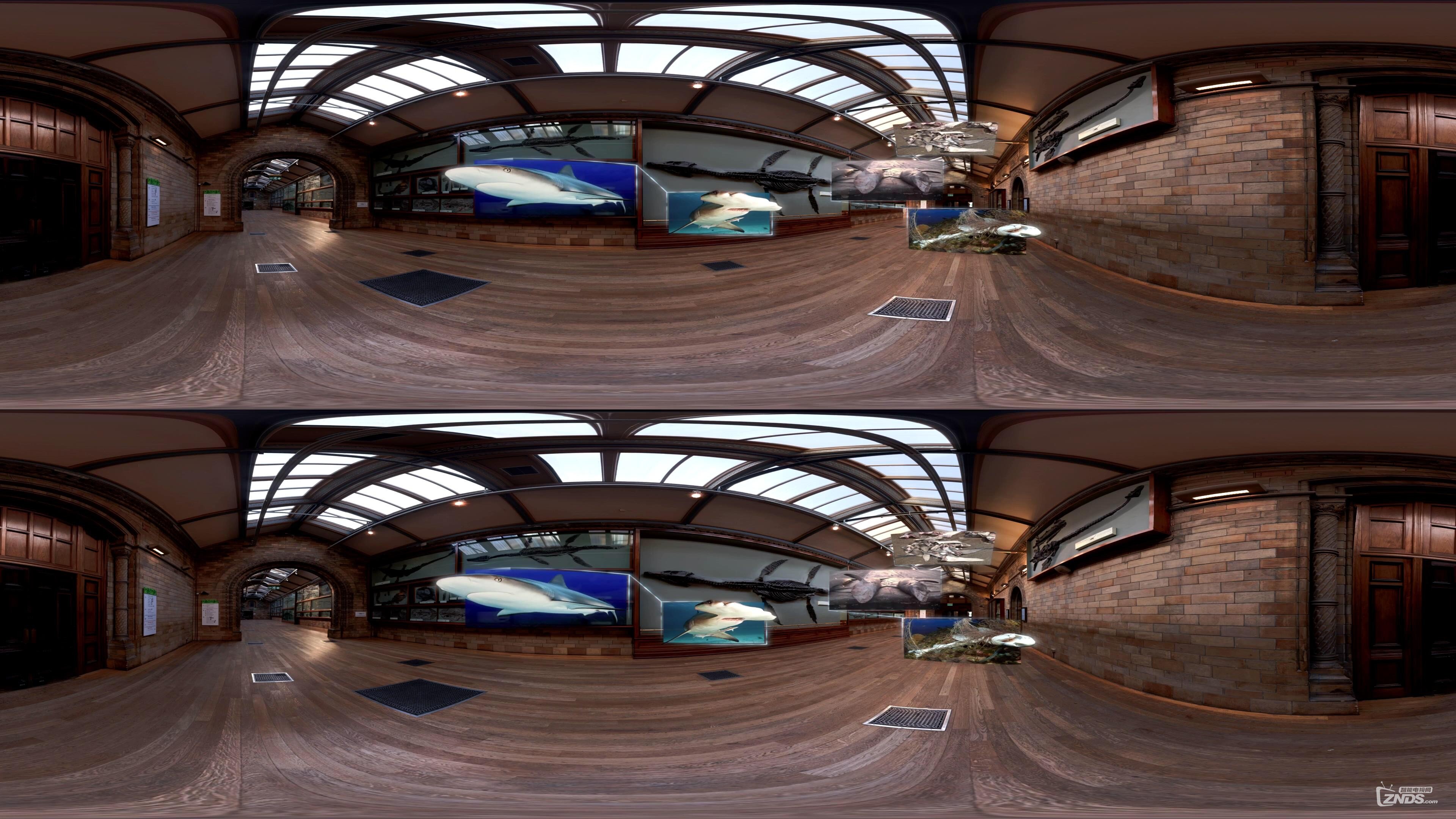 Rhomaleosaurus Back to Life in Virtual Reality #PreviouslyOnEarth_20161019222025.JPG