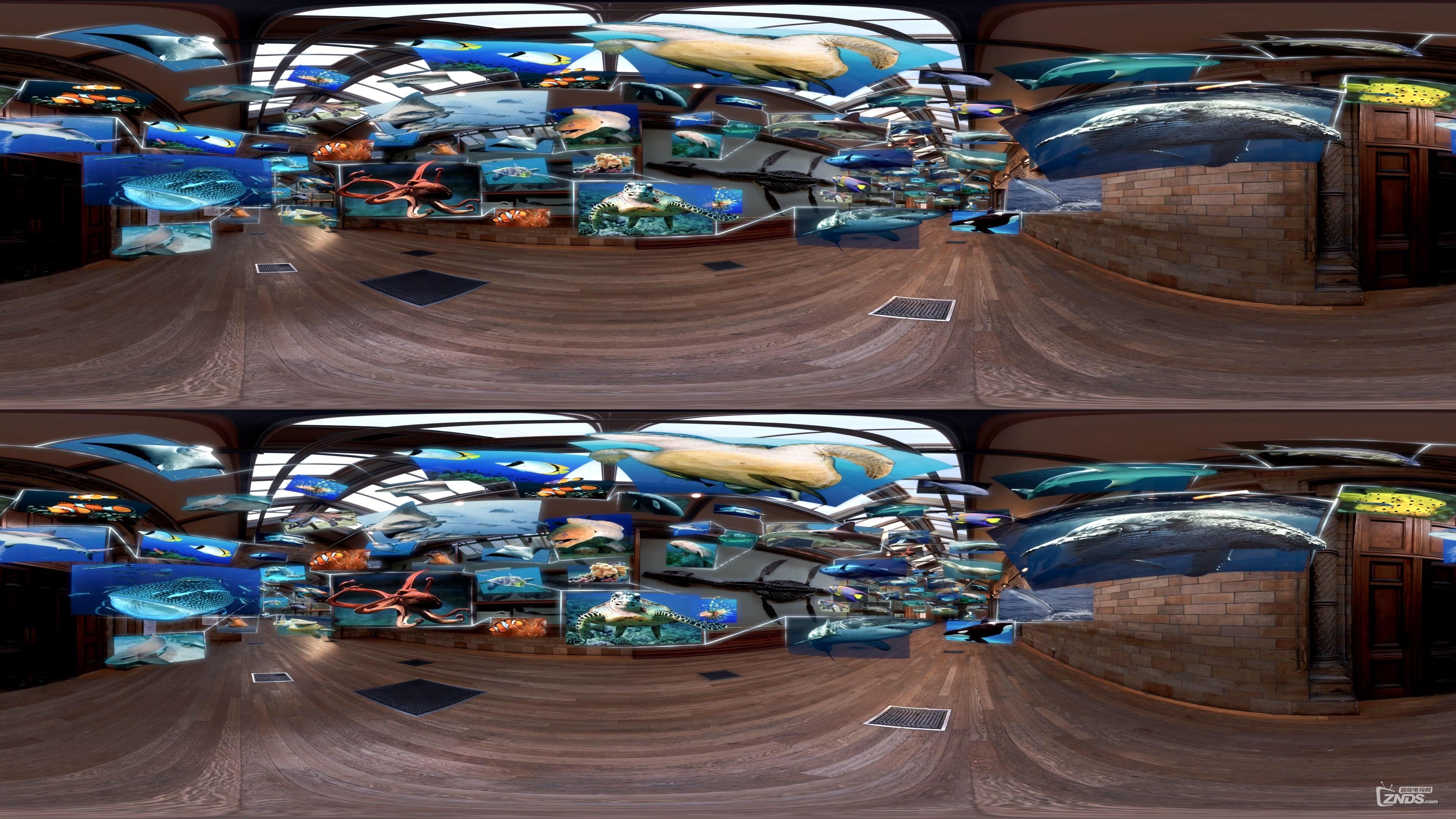 Rhomaleosaurus Back to Life in Virtual Reality #PreviouslyOnEarth_20161019222037.JPG