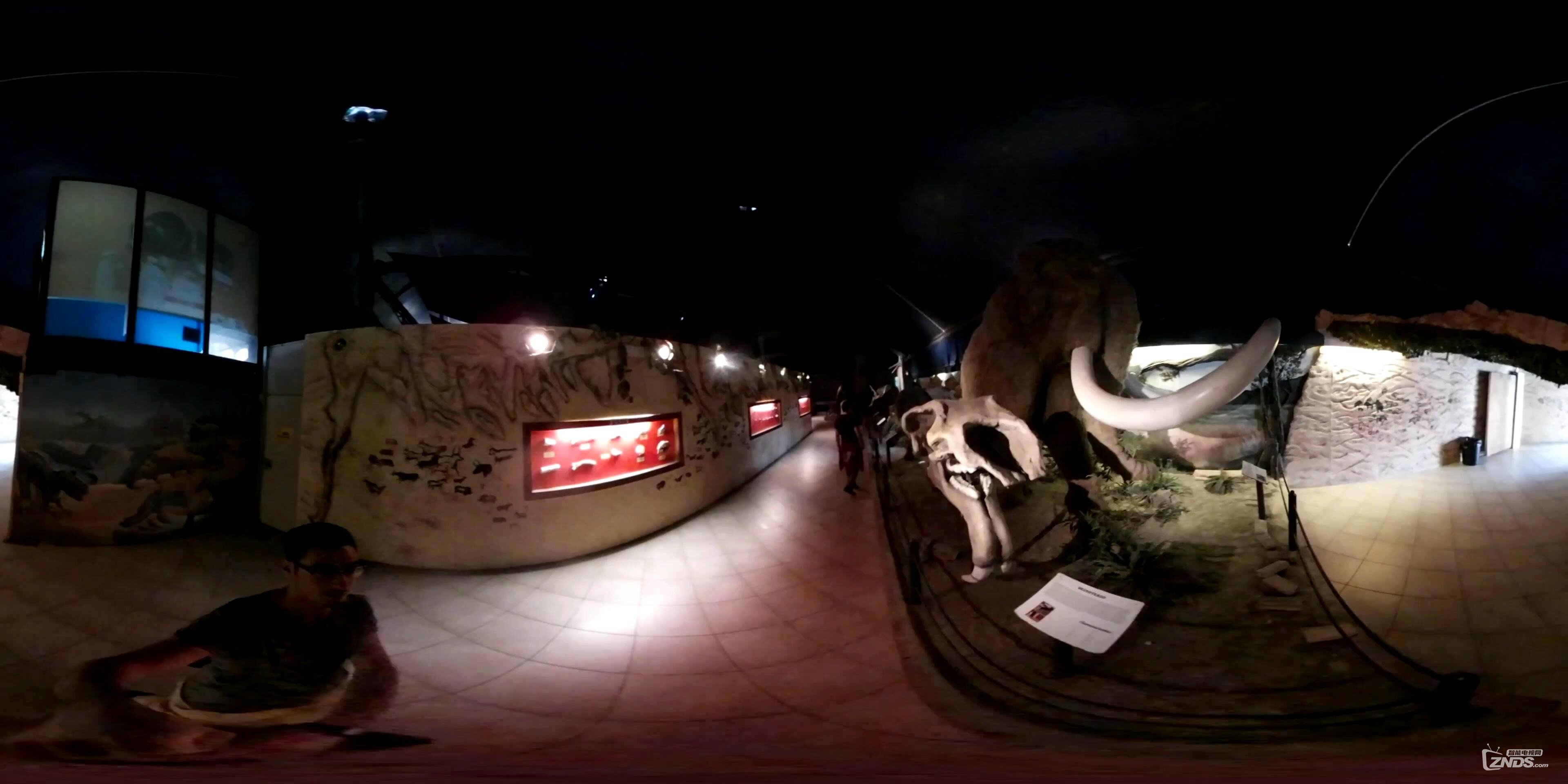 360° VR 4k - Jurassic Park Museum Dinosaurs - VIRTUAL REALITY 3D (2)_20161022211914.JPG