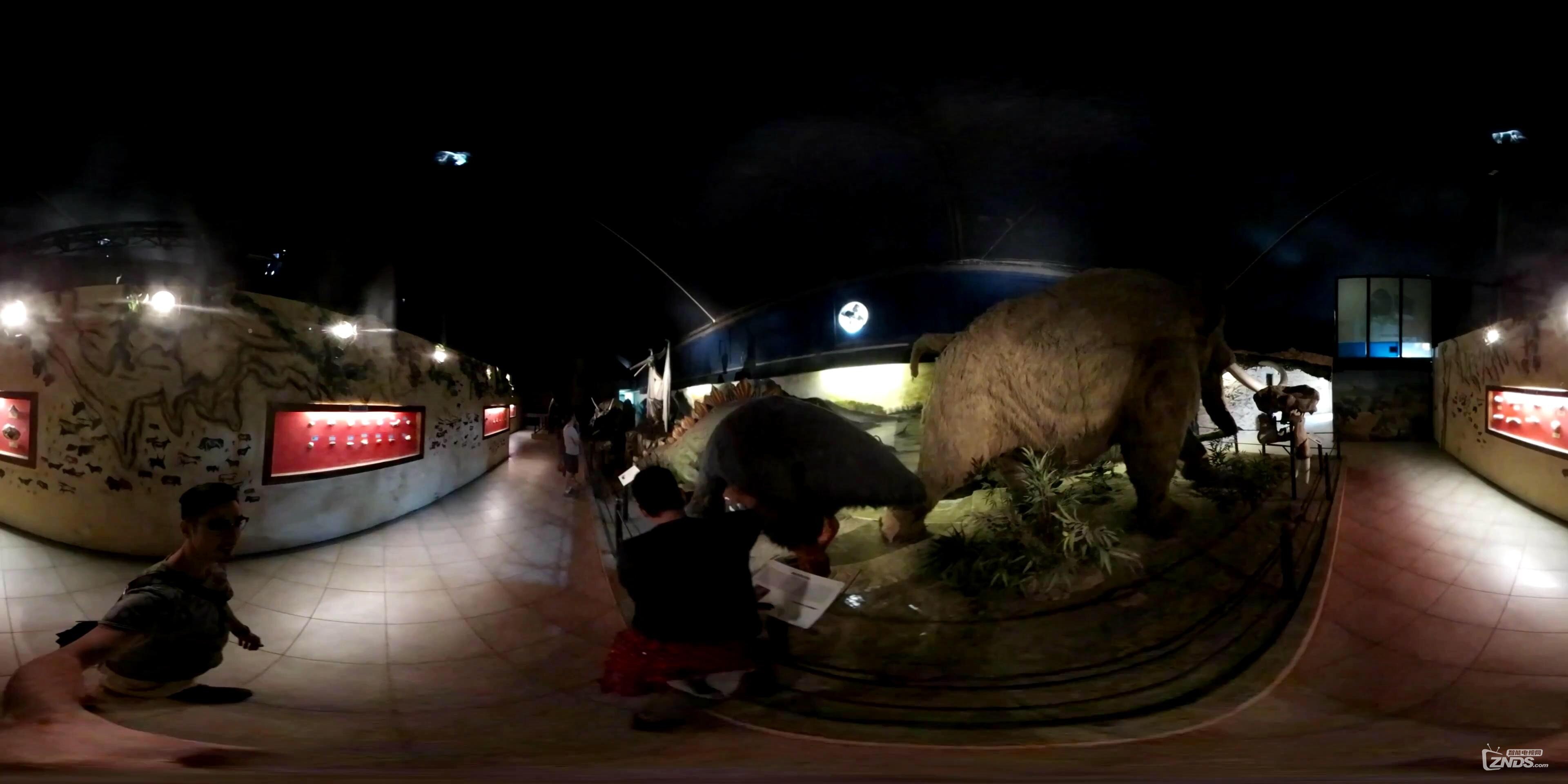 360° VR 4k - Jurassic Park Museum Dinosaurs - VIRTUAL REALITY 3D (2)_20161022211917.JPG