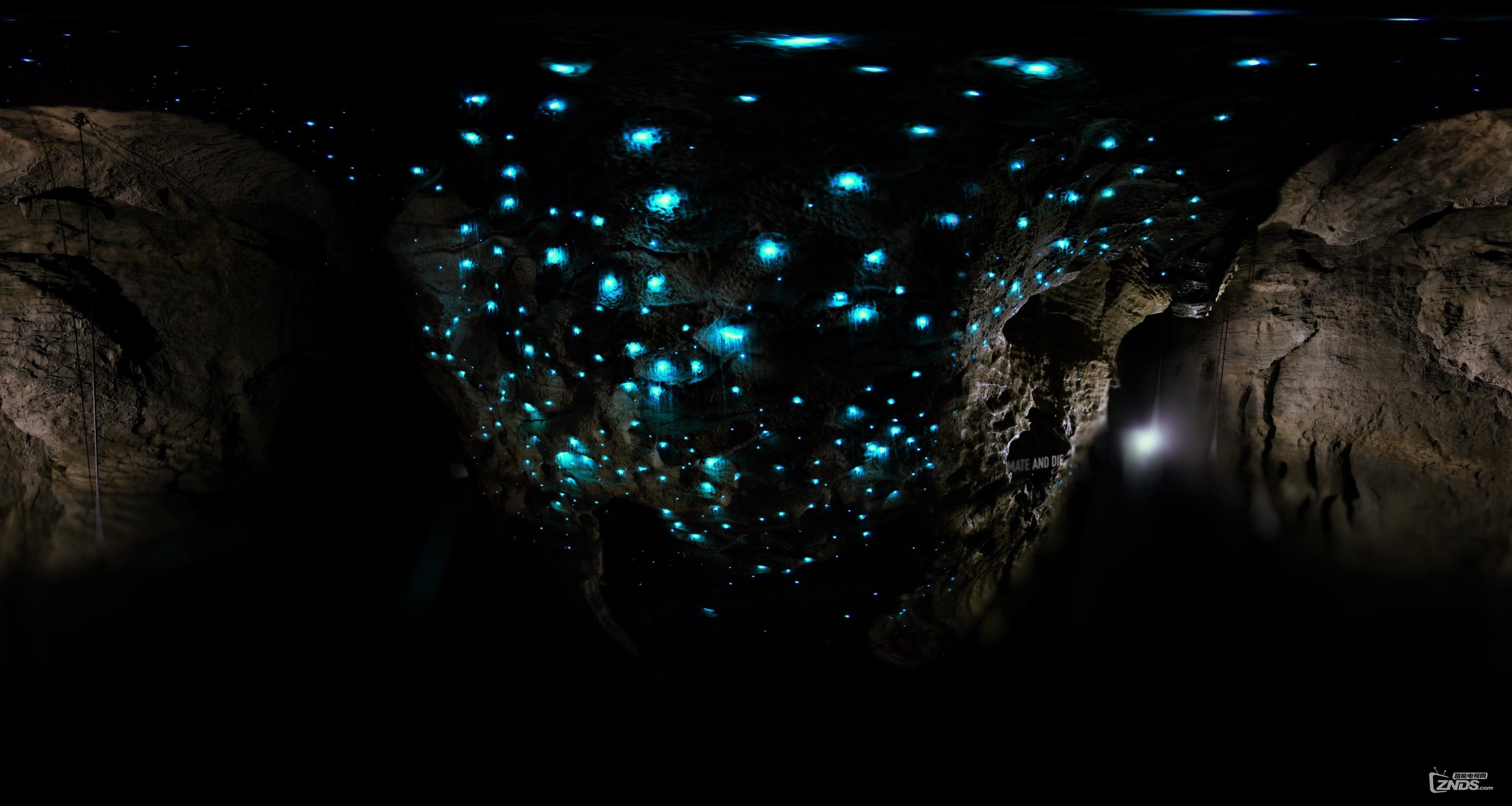 全景视频萤火虫洞4kmp417618mb