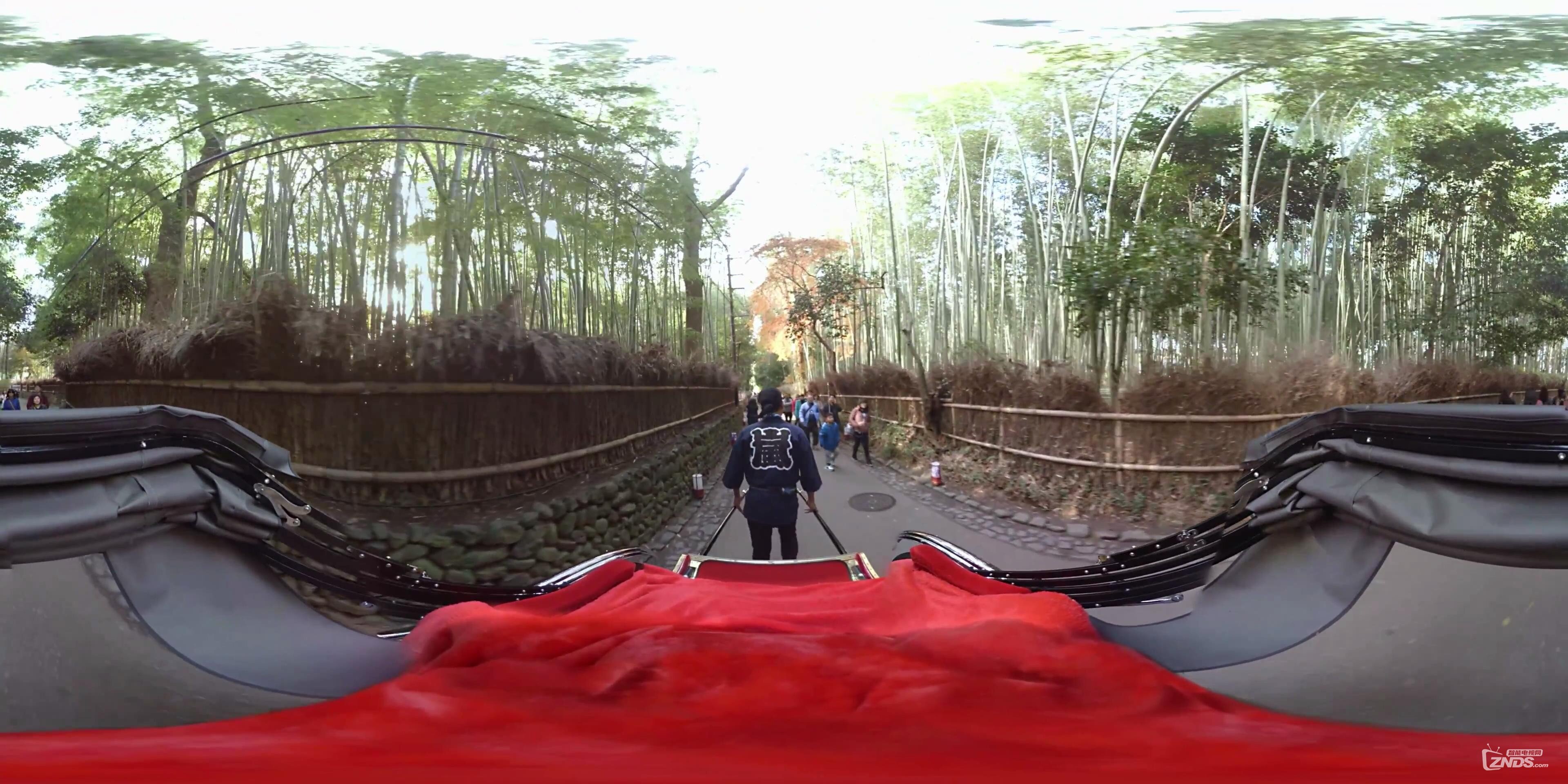 932-Let's go Rickshaw! Ride around Japan with 360 VR [Arashiyama 03](1)_201.jpg