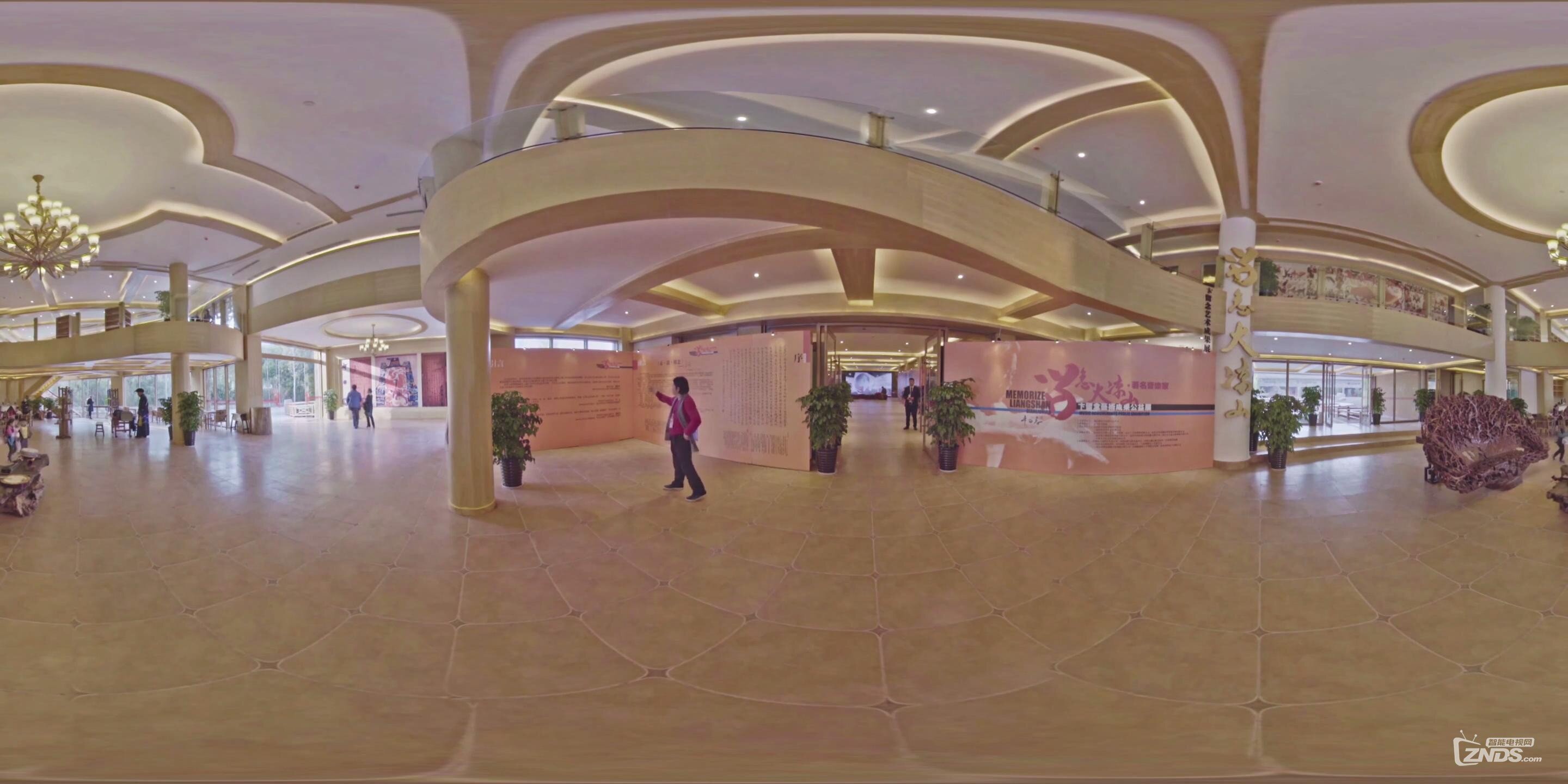 卞留念带你看《留念大凉山艺术成果展》