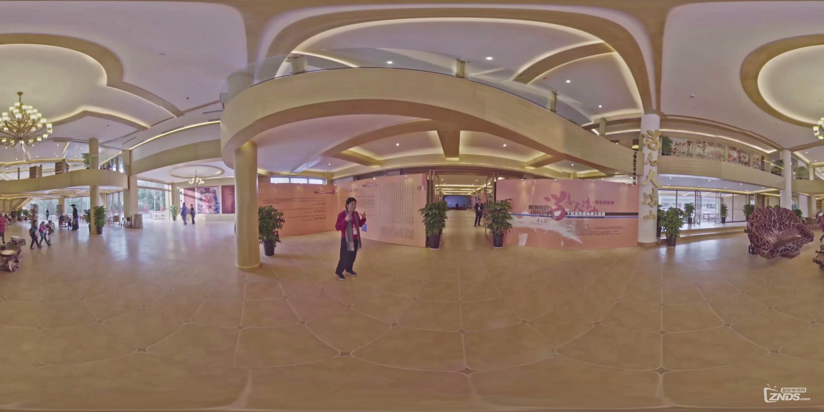 卞留念带你看《留念大凉山艺术成果展》