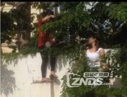 原来摄影师一直是高危职业......