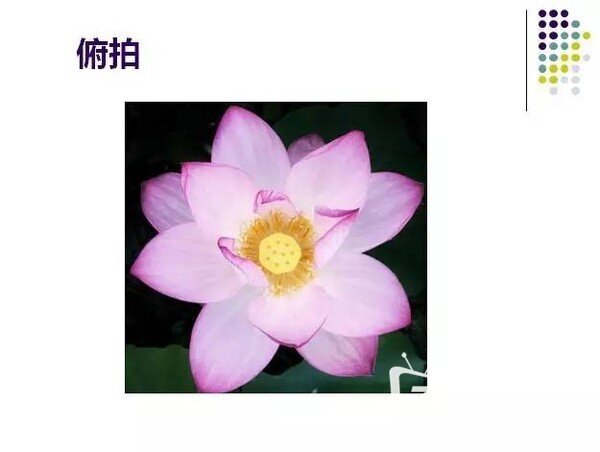《普通人如何用手机拍出专业级照片》讲座笔记整理