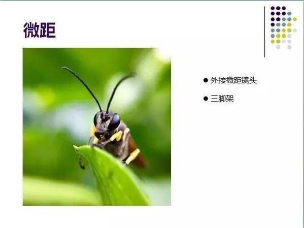 《普通人如何用手机拍出专业级照片》讲座笔记整理