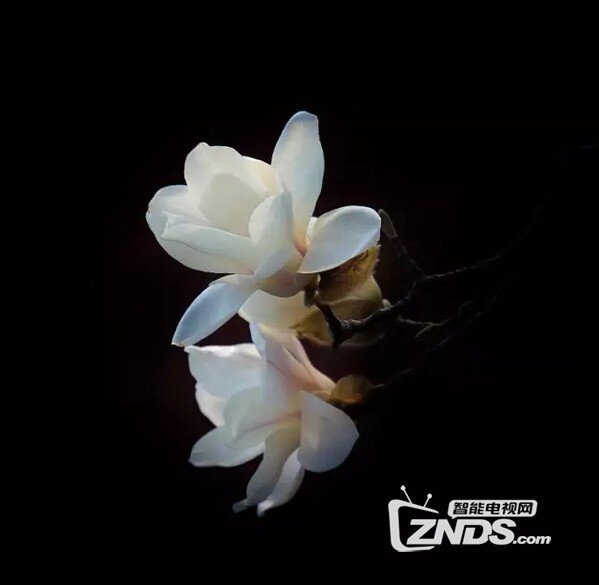 简单几步就能实现背景拉黑，超实用的后期技巧！