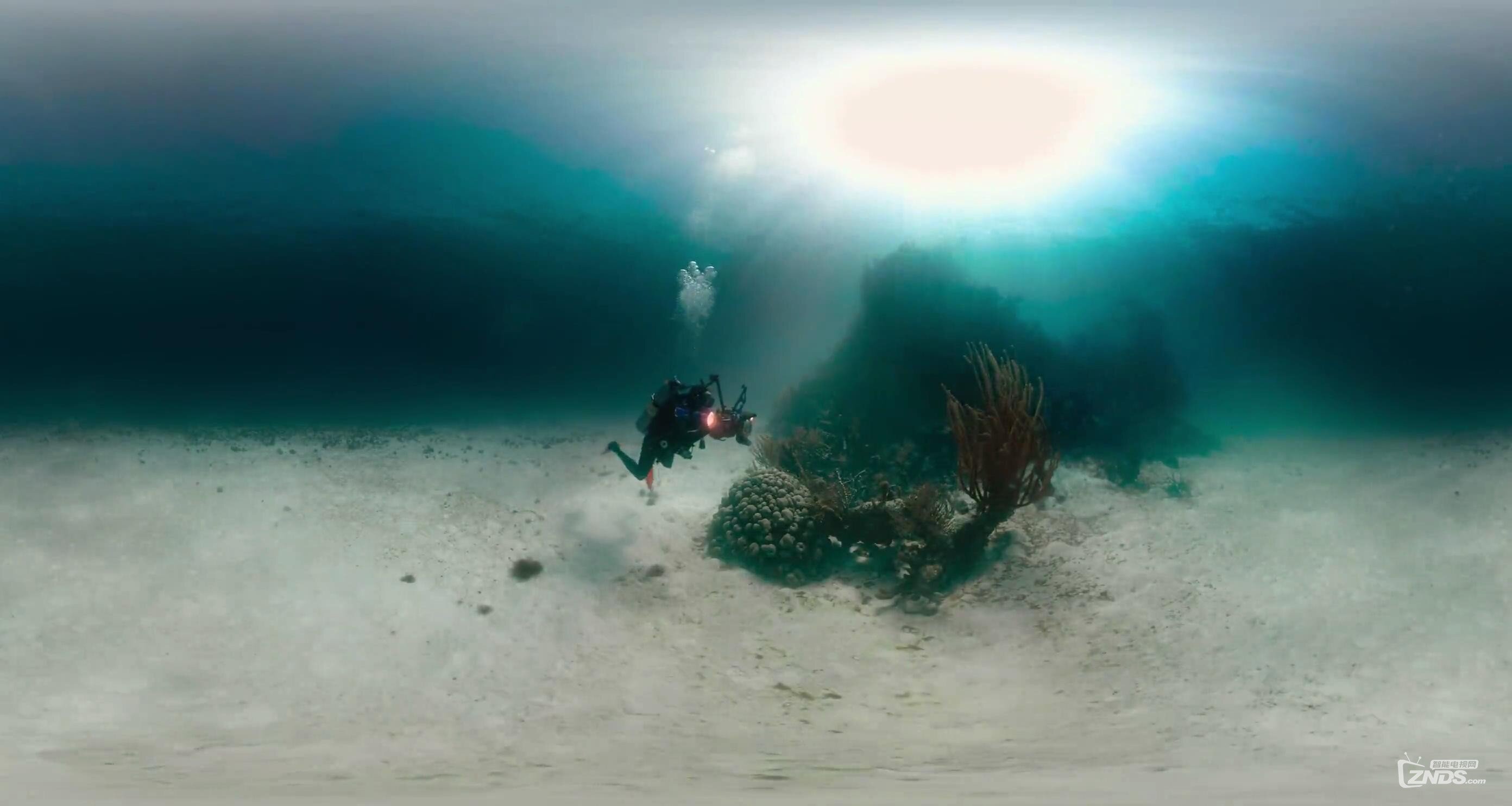 VR紀(jì)錄片_《水底下的國(guó)家公園（Underwater_National_Park）》-國(guó)家地理呈獻(xiàn)_201701152.jpg