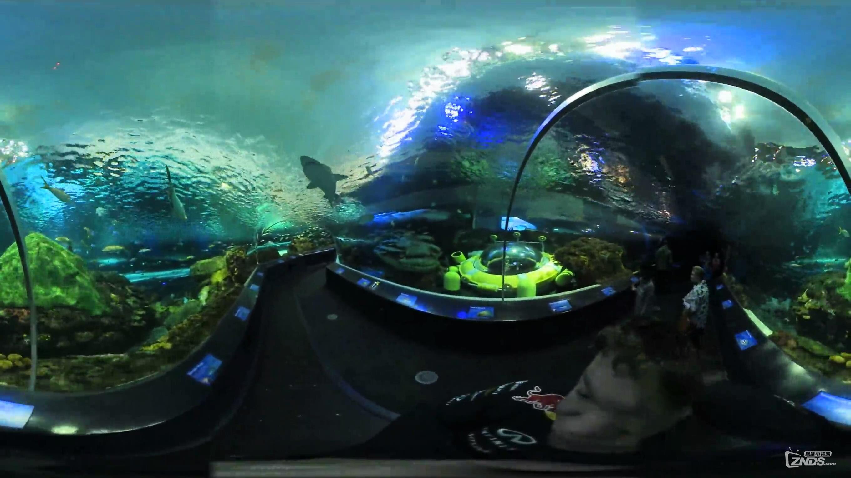 【VR带你游世界】瑞普利水族馆隧道@加拿大多伦多_20170116101607.JPG