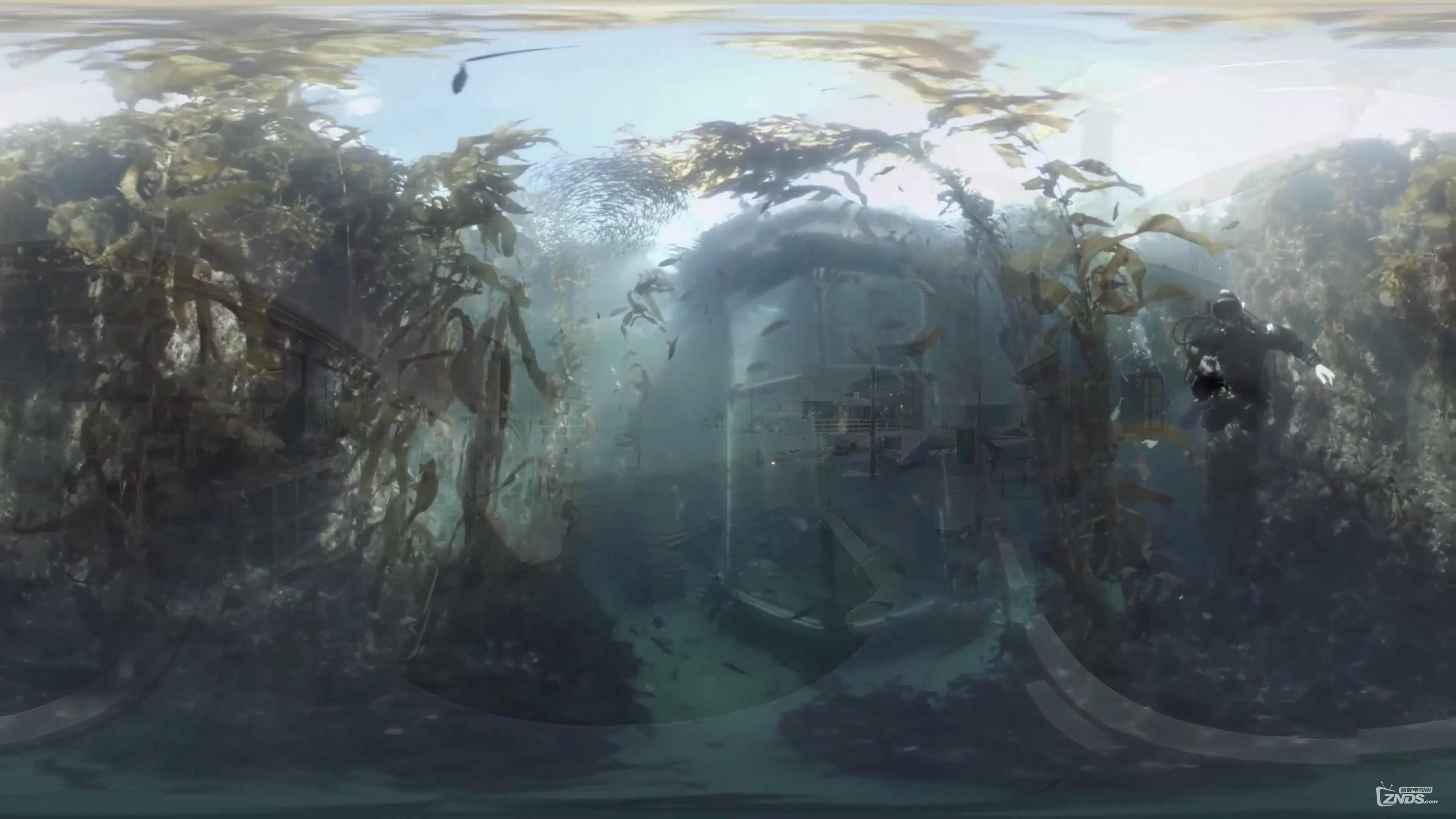 蒙特雷湾水族馆_20170119184538.JPG
