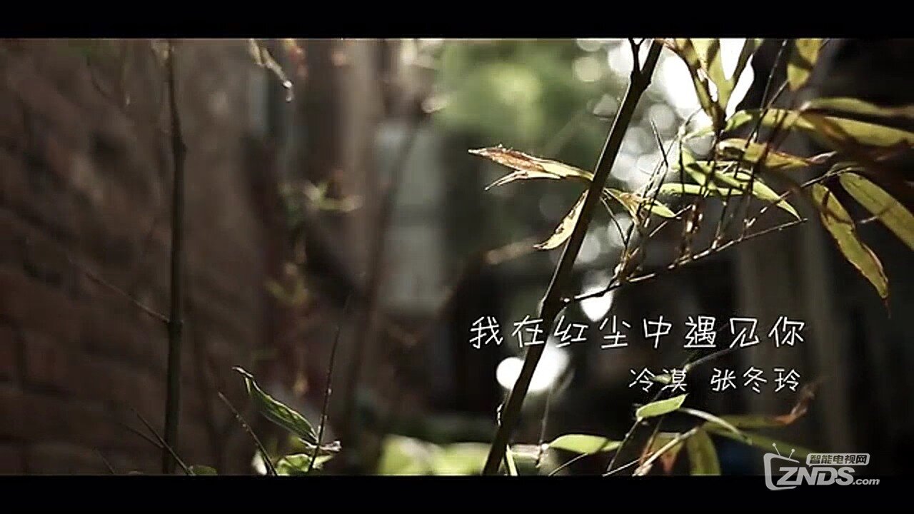 冷漠 &amp; 張冬玲 - 我在紅塵中遇見你[(000082)2017-01-21-20-49-26].JPG