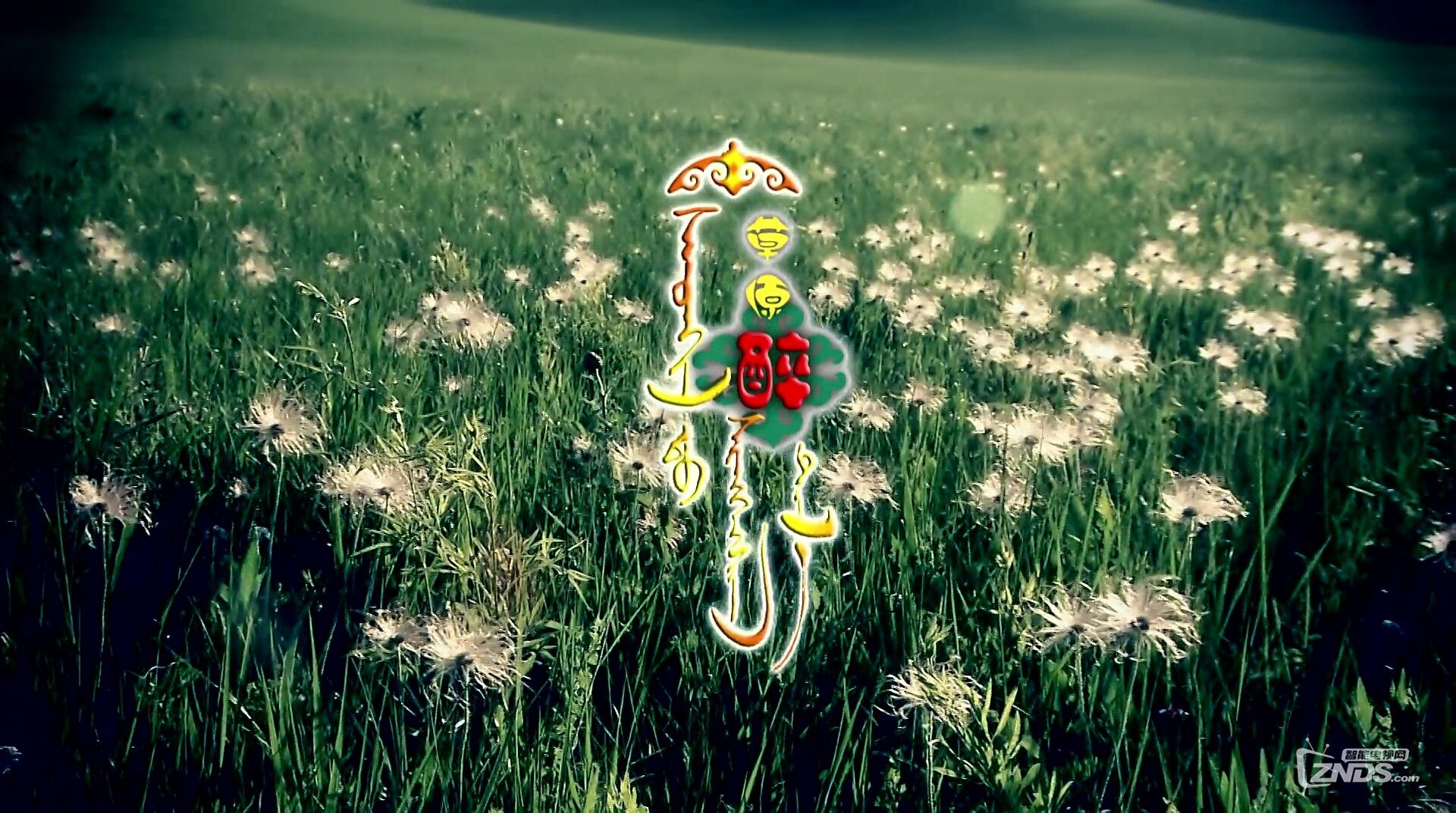 乌兰图雅草原醉官方版1080pmp483m