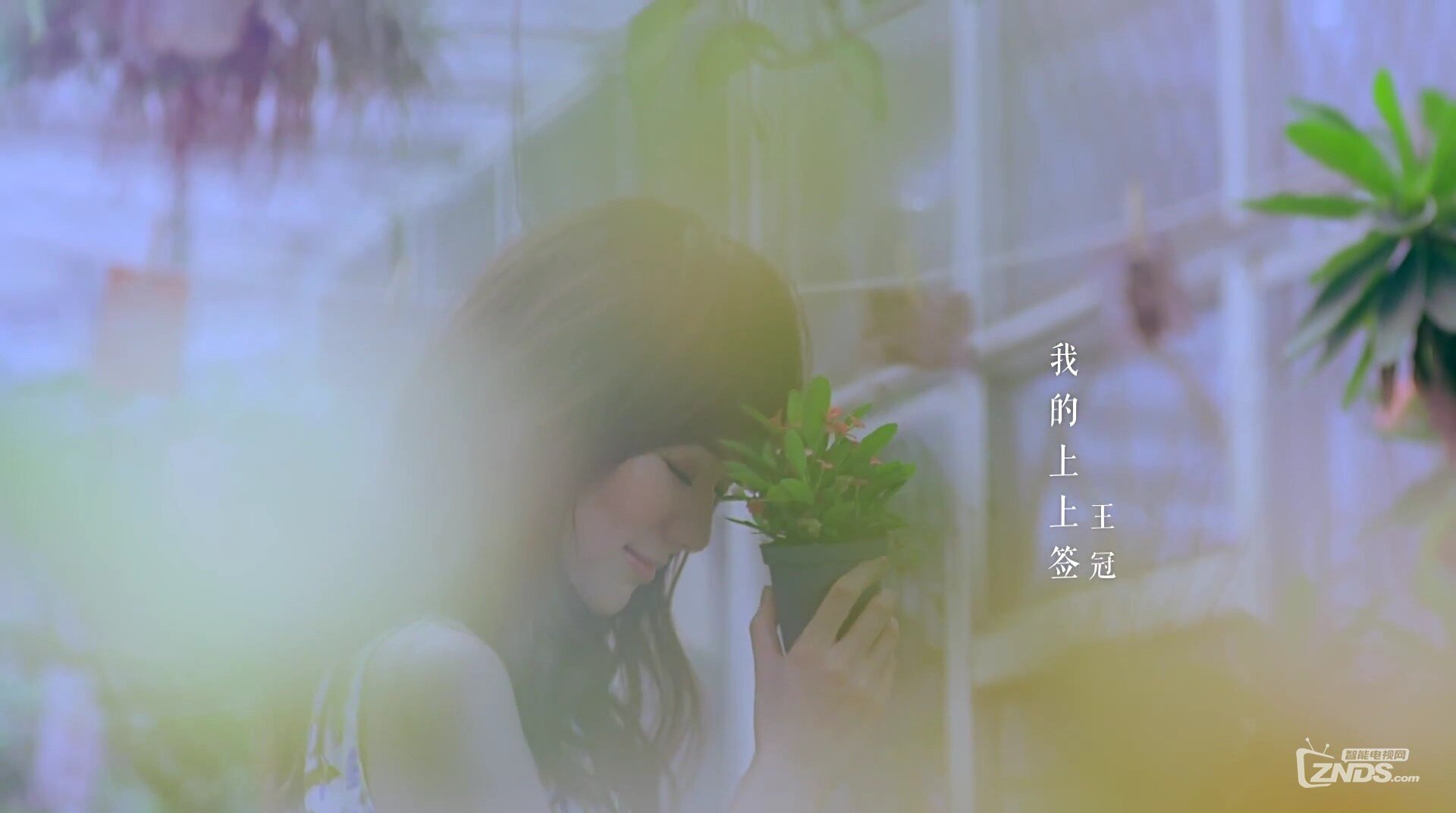 王冠-我的上上签[1080P/MP4/102M]