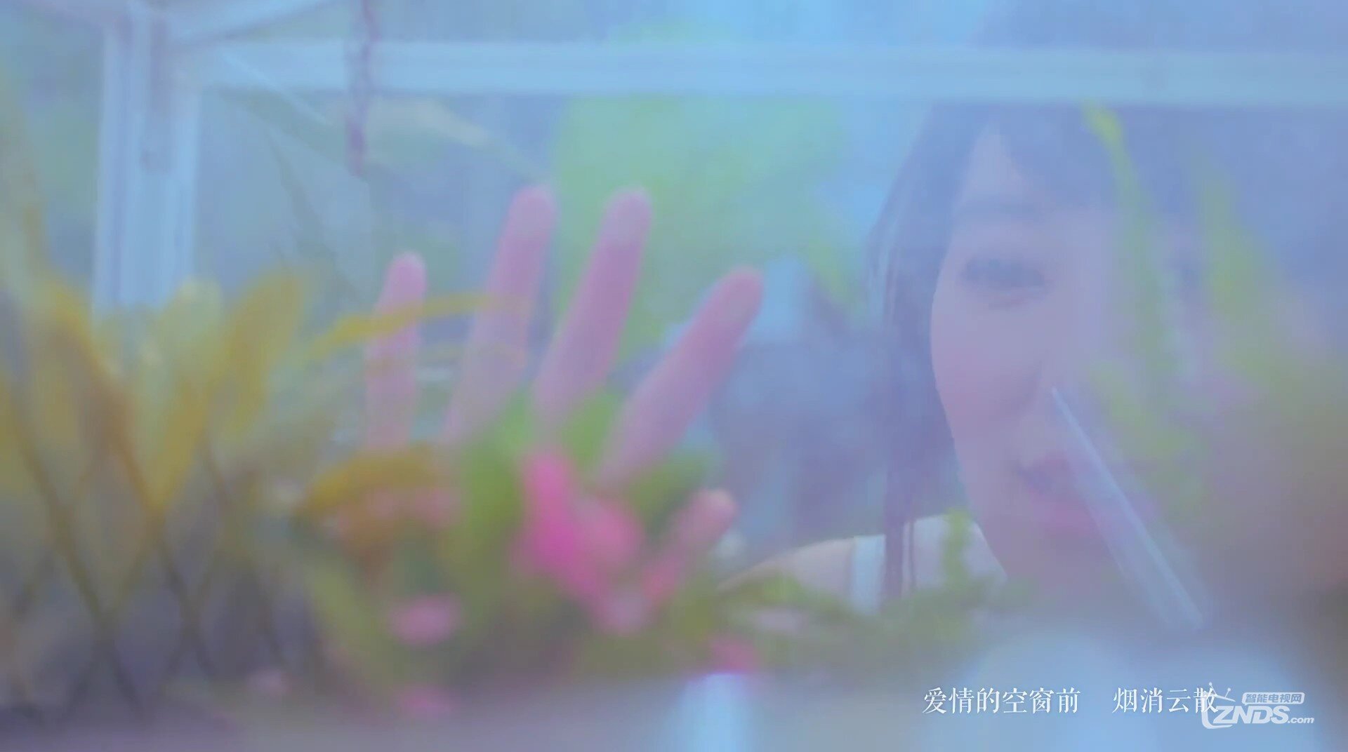 王冠-我的上上签[1080P/MP4/102M]