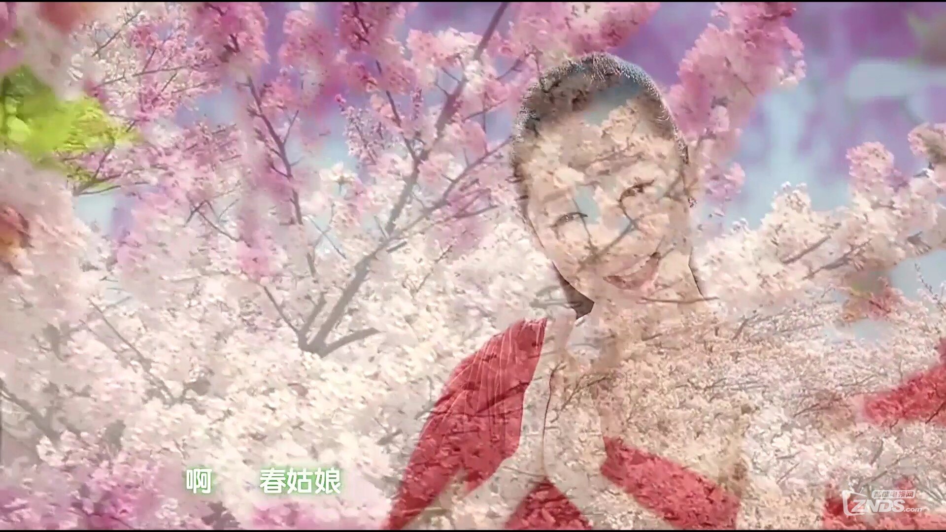 春姑娘简谱王芳_王芳主持人