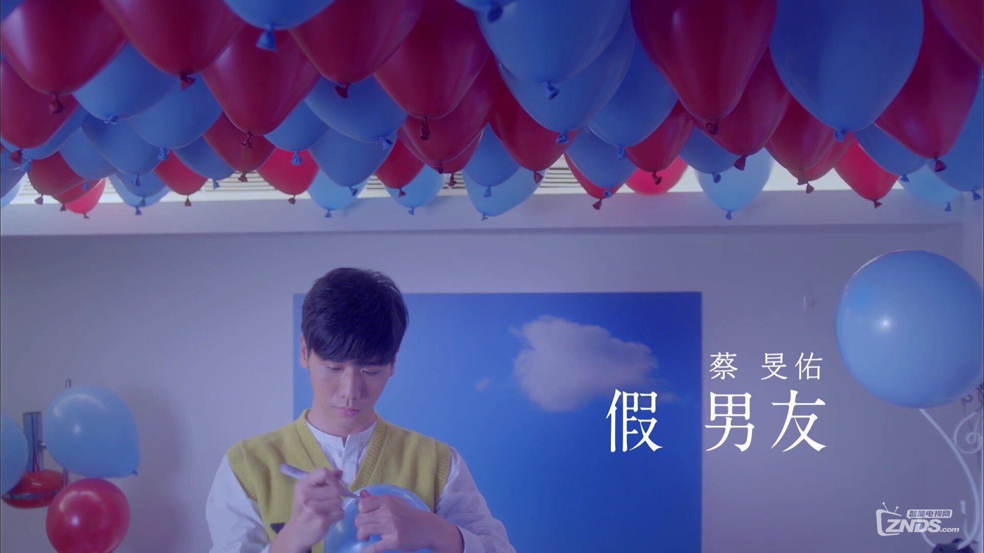 蔡旻佑 - 假男友[1080P/MP4/88M]