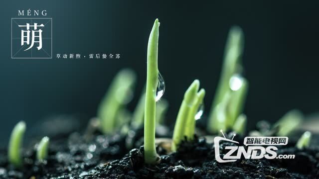 2月28日乐视新品发布会图文直播