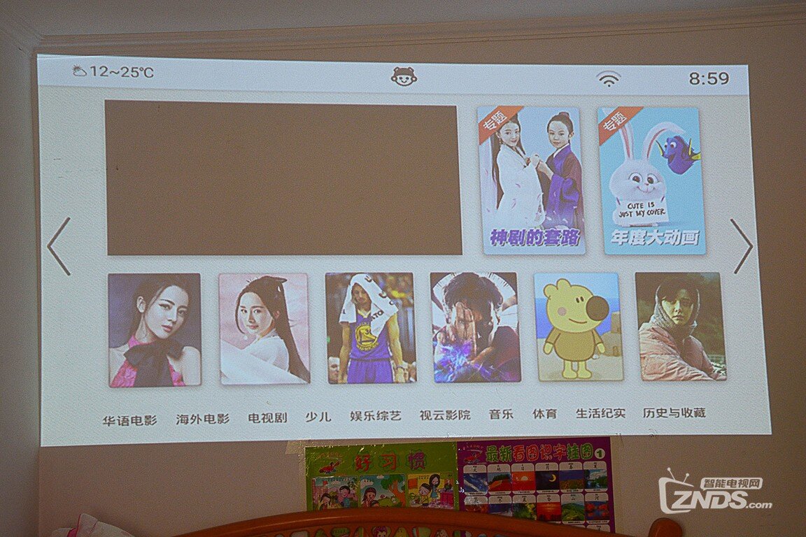 小新T1投影