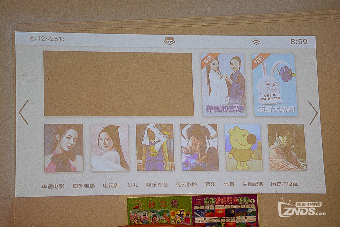 小新T1投影