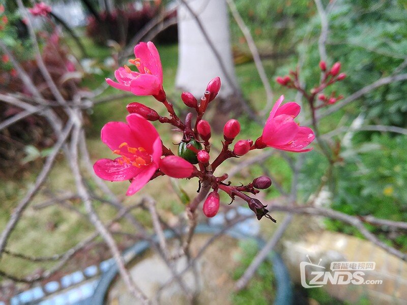 努比亚M2评测：不仅双摄 其他亮点也很棒