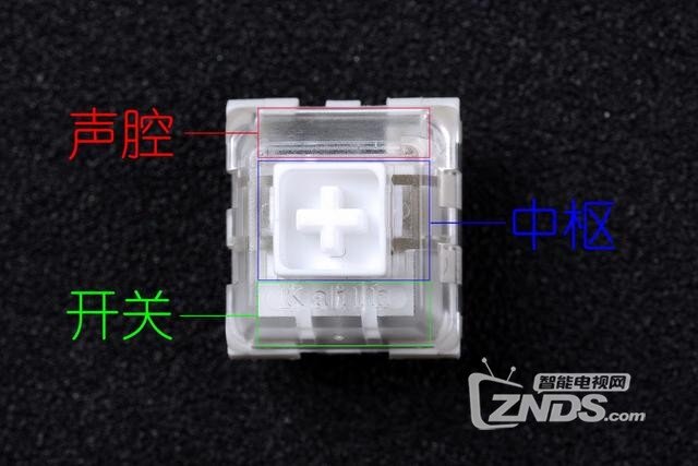 这一次不输樱桃红轴，达尔优EK835实物体验