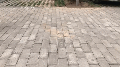 1ad7000d59926249fcec.gif