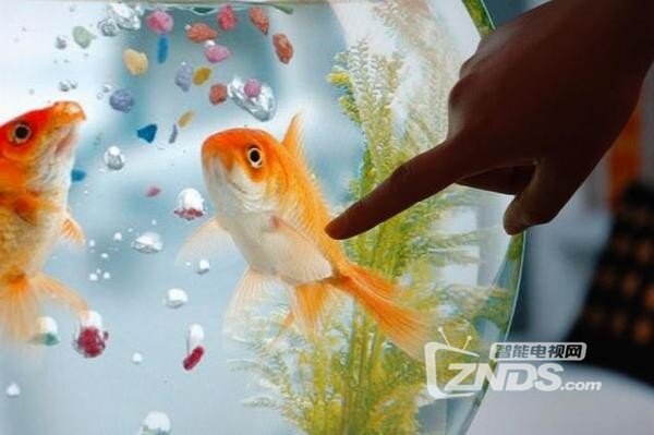 这才是真正的互联网智能电视——微鲸D系列新品43D2FA评测