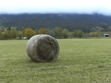 62037b5agy1ff7wymfuc0g20ak07xnpe.gif