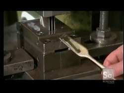 62037b5agy1ff7x11q9uzg206y058x6p.gif
