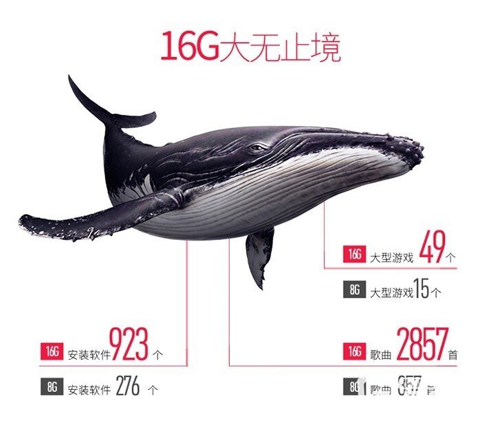 1495595417894523.jpg
