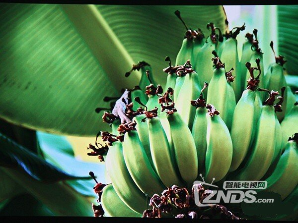 音画相携 细节见真章 极米无屏电视Z5评测