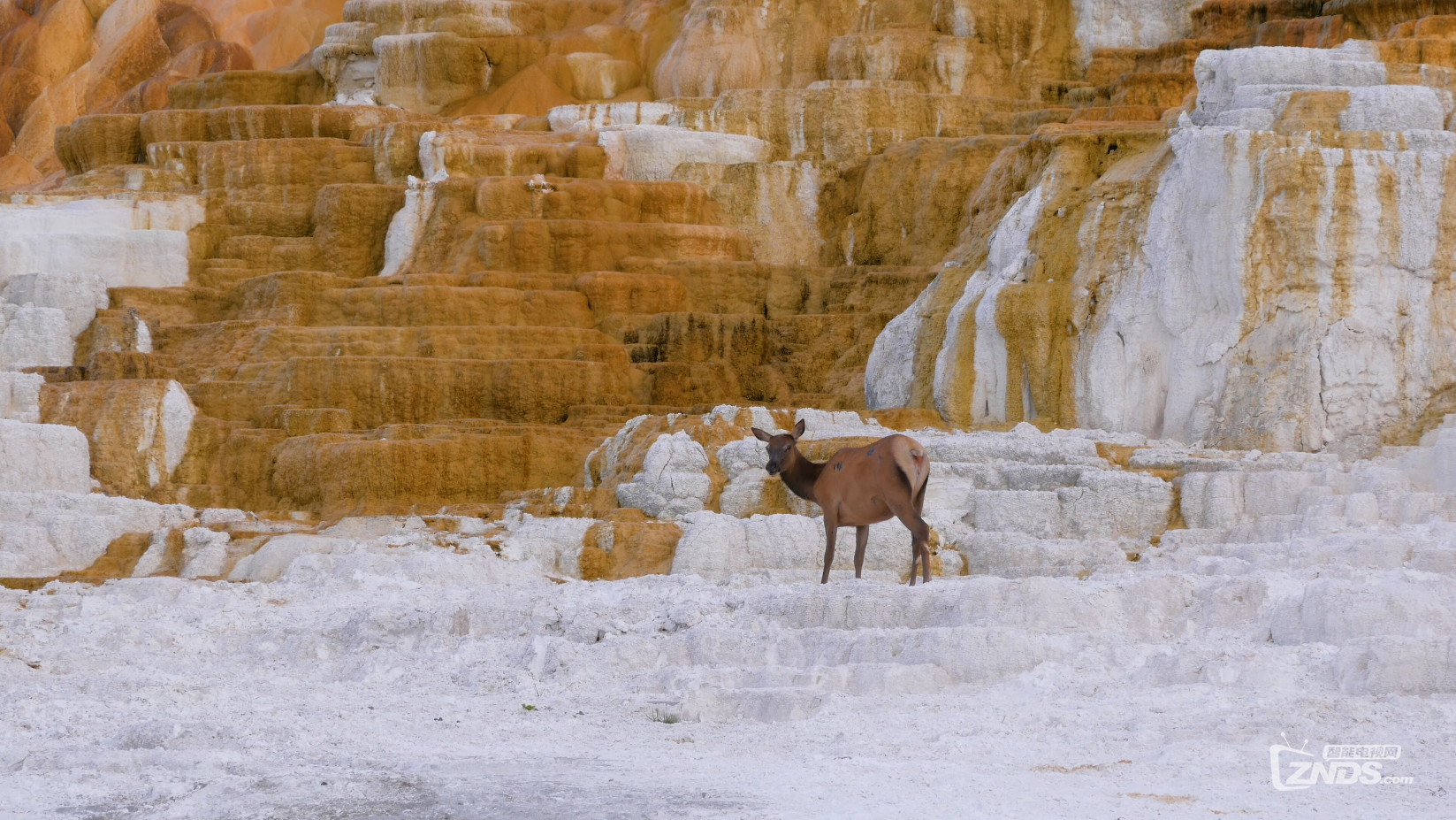 Yellowstone National Park - 4K (Ultra HD) Nature Documentary Film - Episode 2_М.png