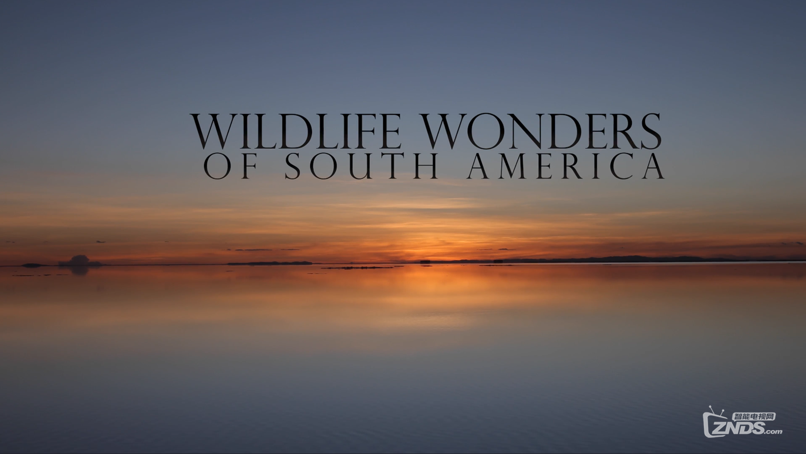 Wildlife Wonders of South America  4K RELAXATION VIDEO Chile &amp; Bolivia (Nature S.png