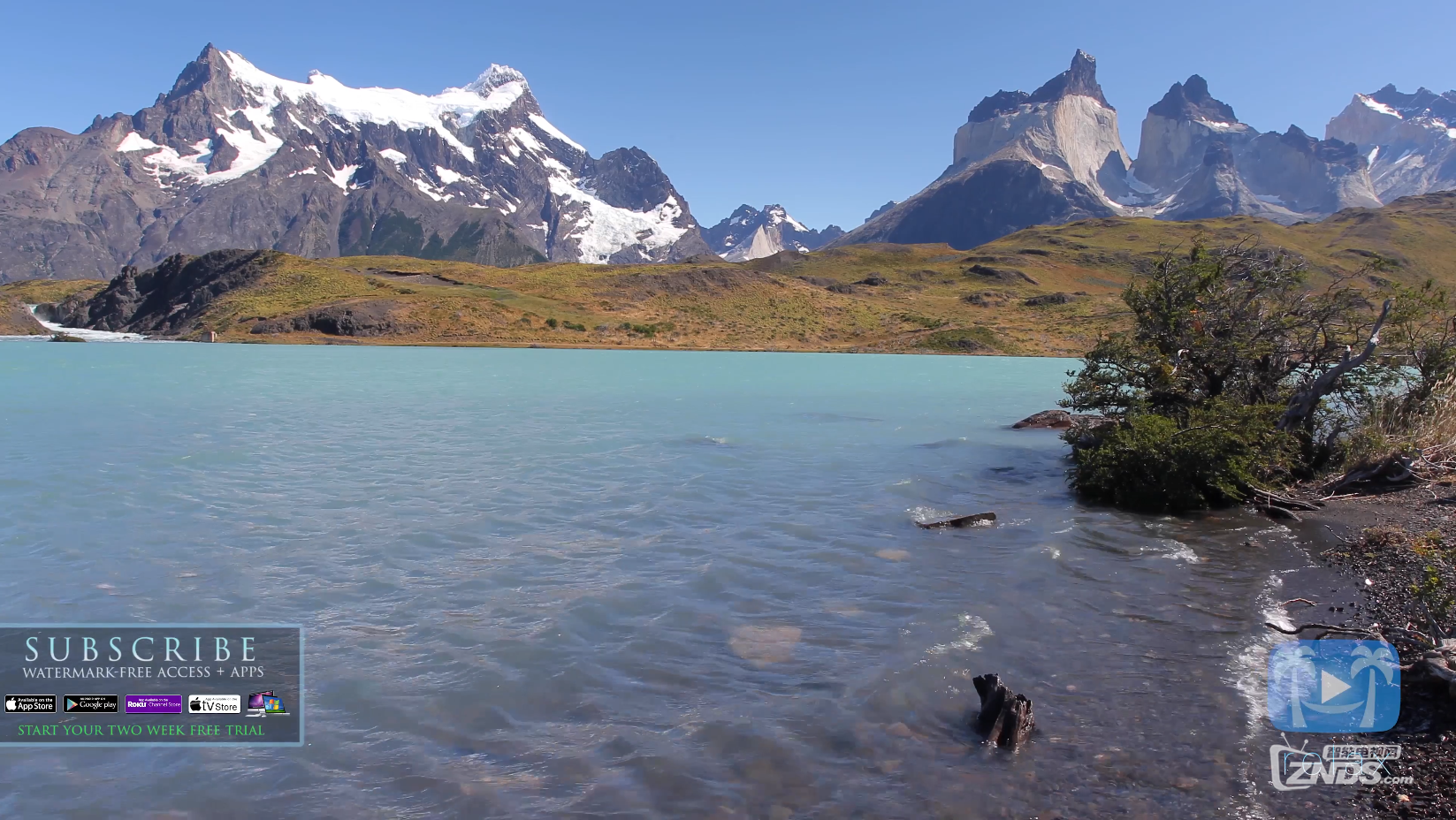 Wildlife Wonders of South America  4K RELAXATION VIDEO Chile &amp; Bolivia (Nature S.png