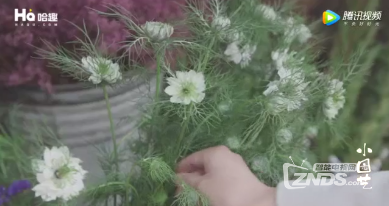 《小园艺》：动辄好几百的情人节花束你也可以自己扎