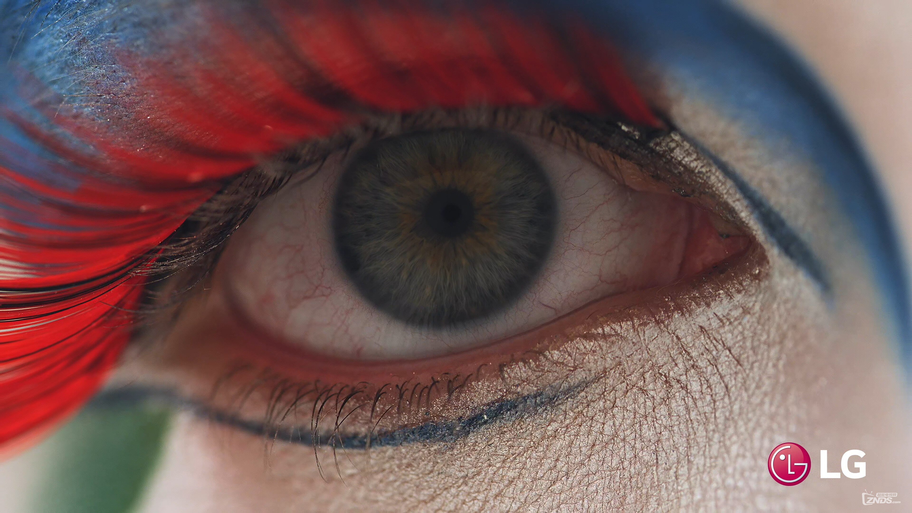 LG IPS 4K 演示片 - 颜色 (HEVC) [2160P\/TS\/2