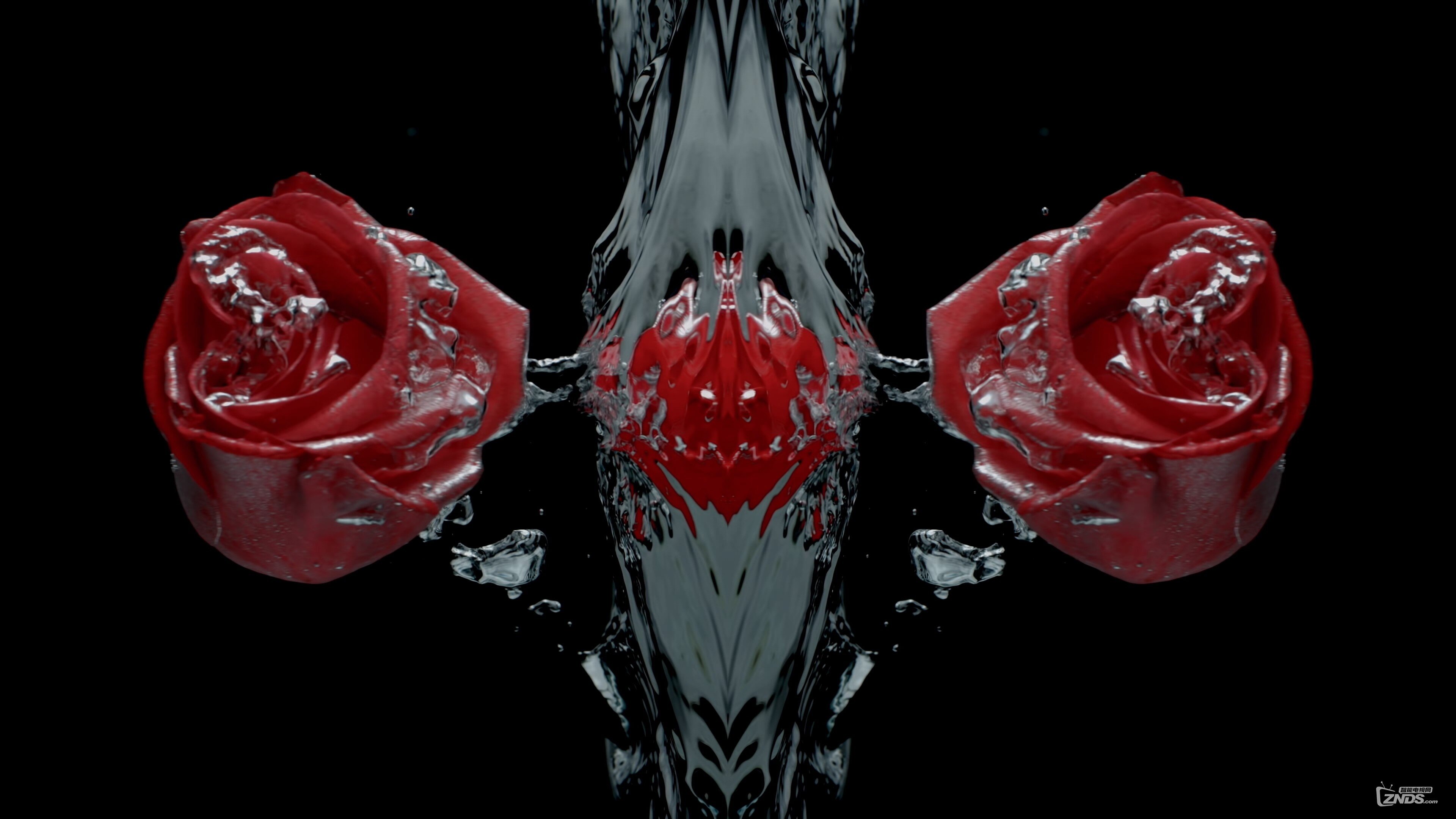 LG.OLED.4K.DEMO_Art.of.Essence.ts_20171008_210723.195.jpg