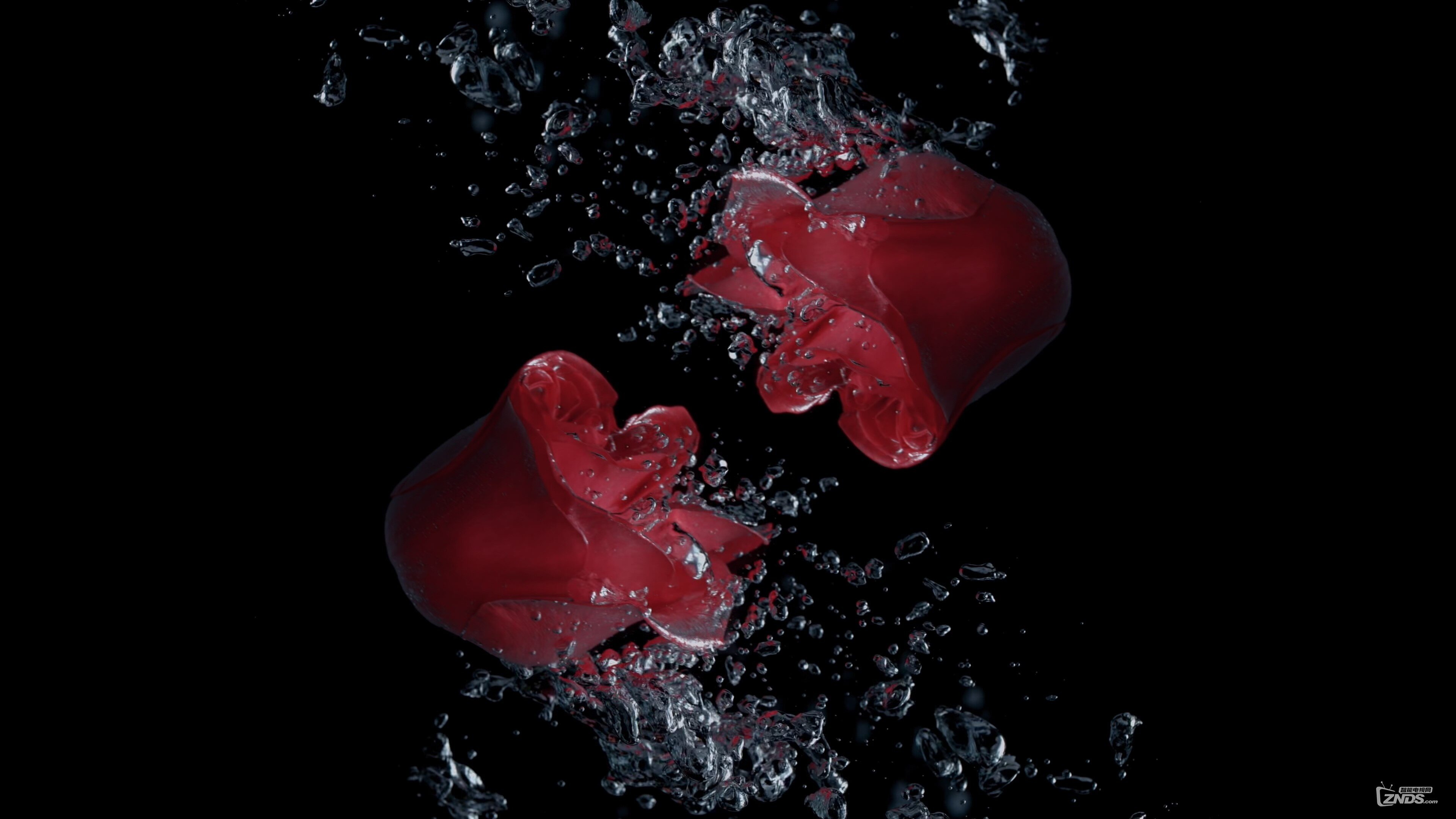 LG.OLED.4K.DEMO_Art.of.Essence.ts_20171008_210832.427.jpg