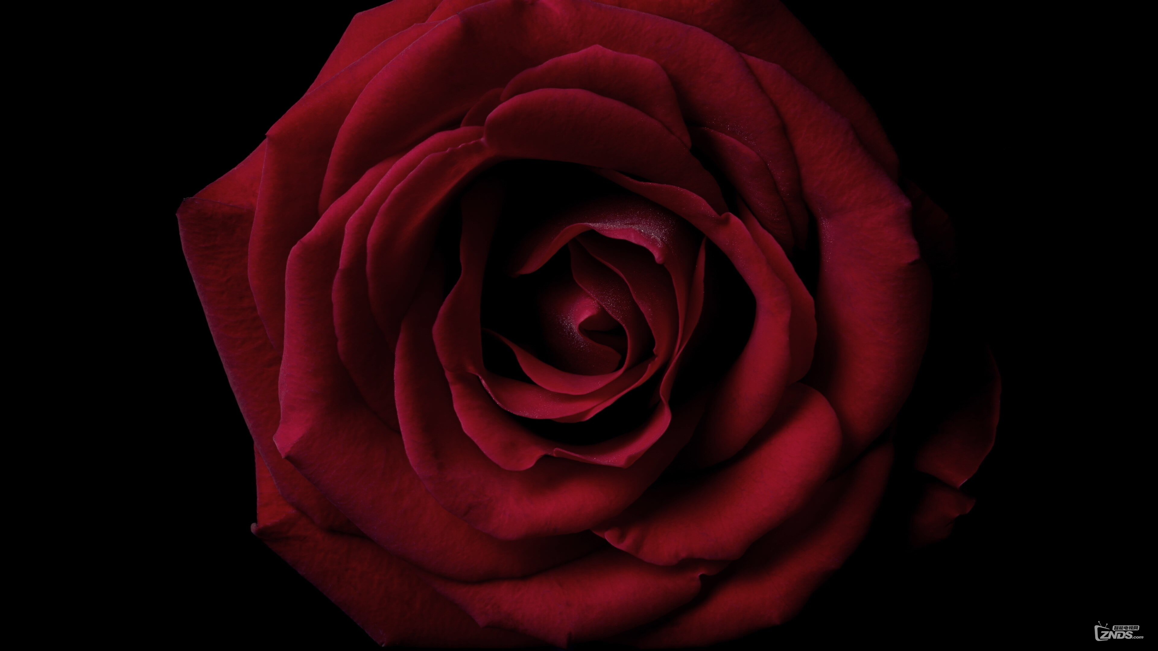 LG.OLED.4K.DEMO_Art.of.Essence.ts_20171008_210942.482.jpg