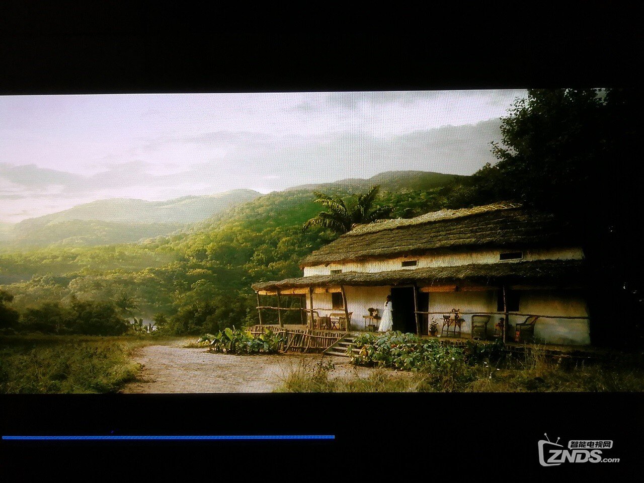 <泰山归来>是部典型灰色调的好片