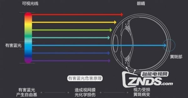 什么是蓝光？电视蓝光有哪些危害
