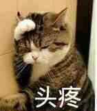 QQ图片20171116145833.jpg