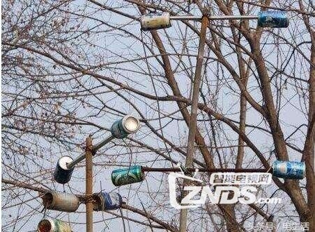 智能电视、电视盒子、IPTV的优势各是什么？谁是观剧最佳x...