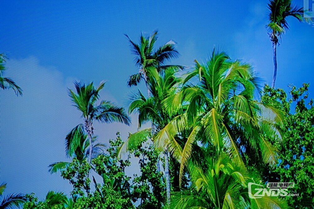 地表最强画质OLED电视--索尼A8F