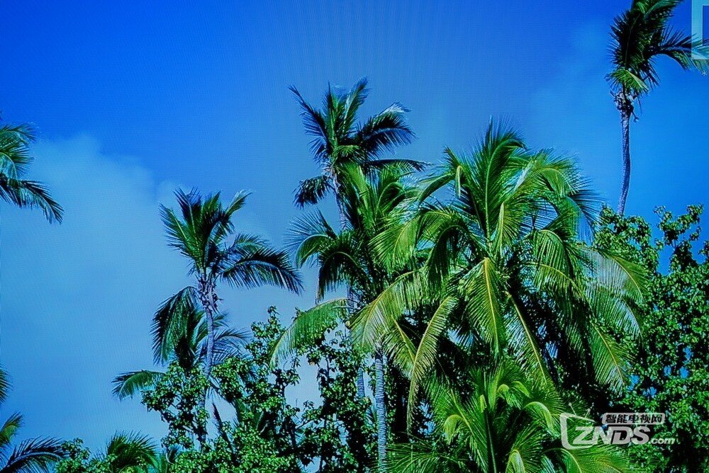 地表最强画质OLED电视--索尼A8F