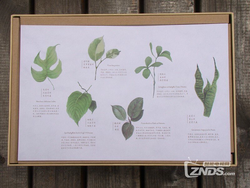 EraClean Leaf 除醛车载空气净化器 体验