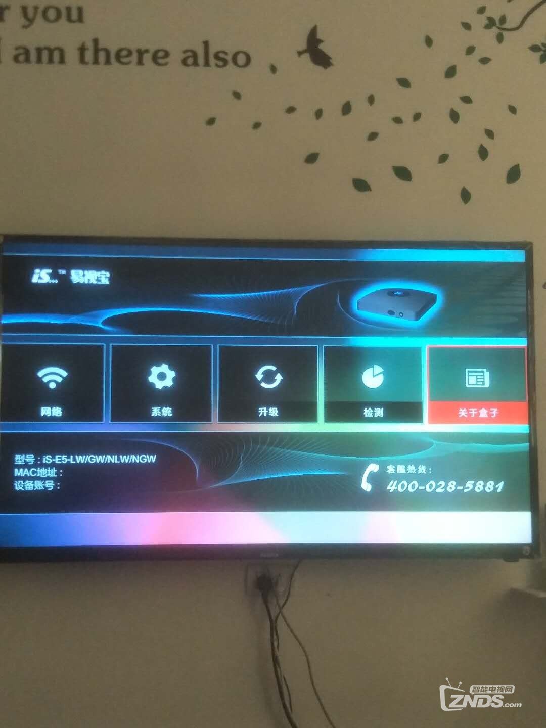 250610886054532970.jpg
