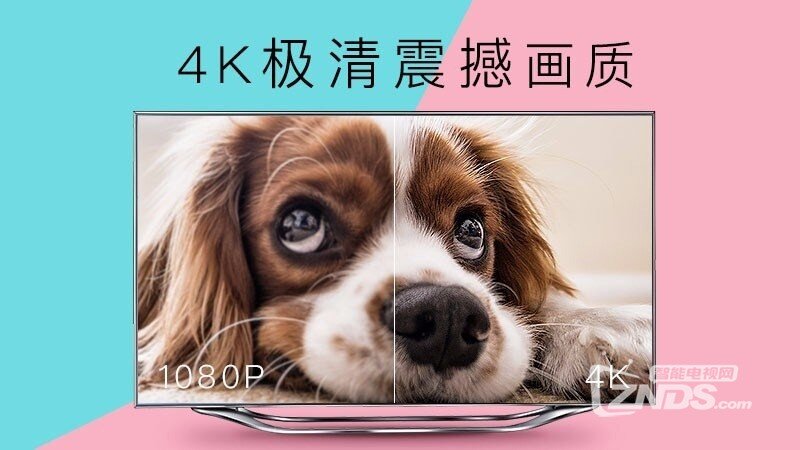 CIBN 4K花园（3.2.0）设置功能搬家至个人中心