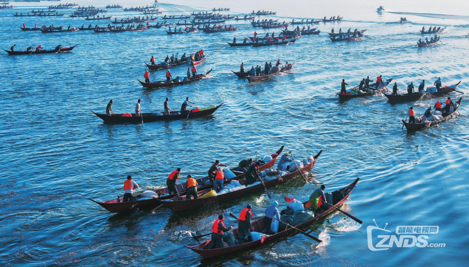 处暑到开渔节得这么看